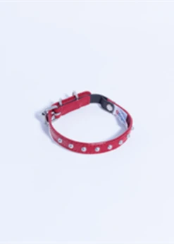 Angel™ Studded Leather Collar 10"