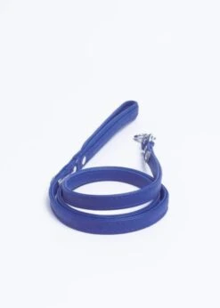 Angel™Pet Supplies Alpine Padded Handle Leash 48 X 1/2"