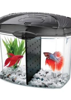 Aqueon® Betta Bowl Starter Kit -Pet Supplies Shop aqueon aqueon betta bowl starter kit 3
