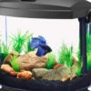 Aqueon® BettaBow 1 Aquarium Kit 1gal