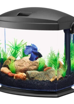 Aqueon® BettaBow 1 Aquarium Kit 1gal