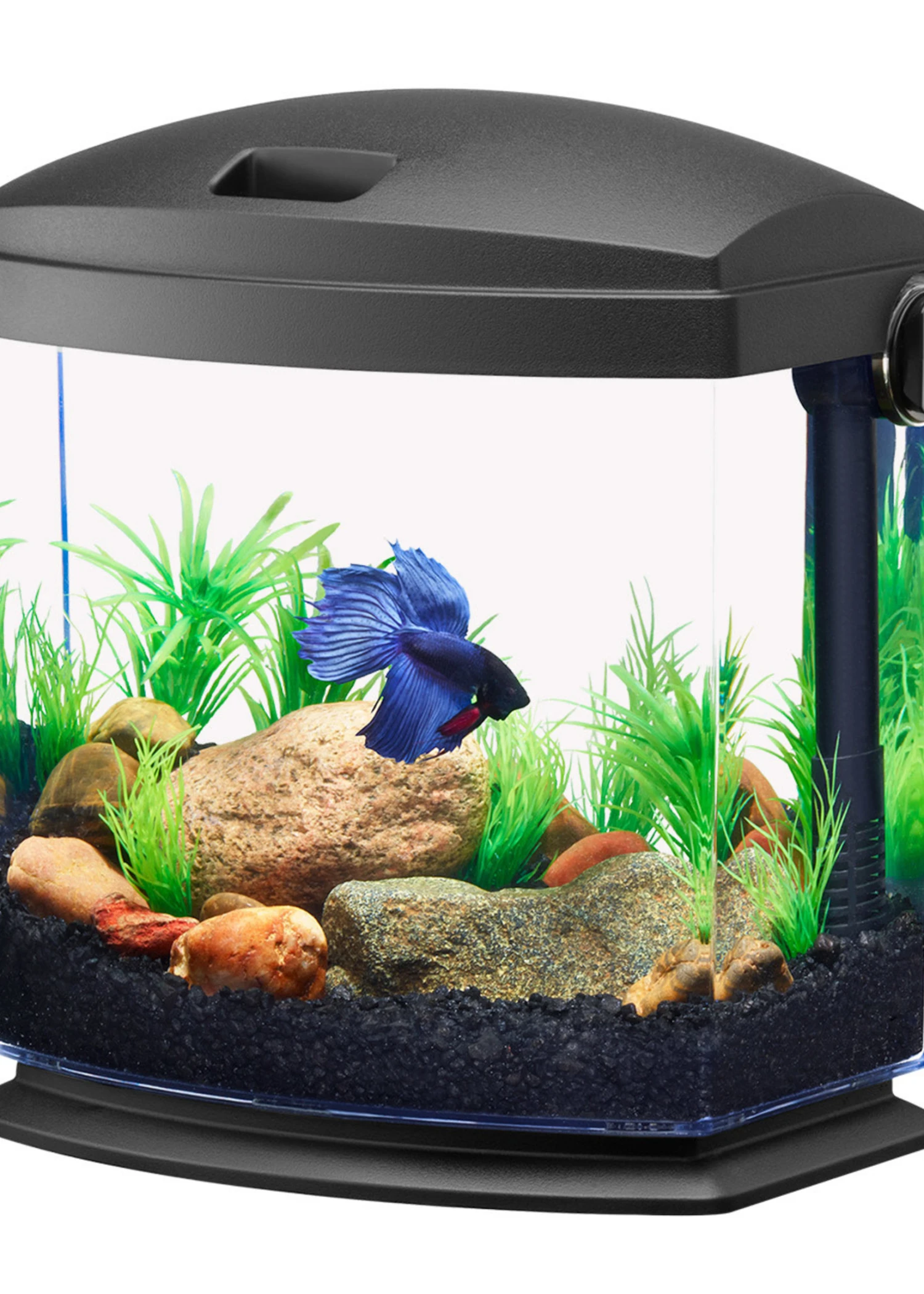 Aqueon® BettaBow 1 Aquarium Kit 1gal 1 Aqueon® BettaBow 1 Aquarium Kit 1gal