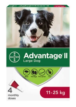 Bayer Advantage® II - Large Dog