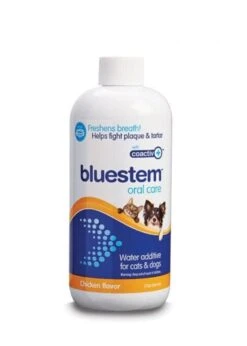 BLUESTEM ORAL CARE WATER ADDITIVE CHICKEN FLAVOR 500mL