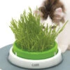 Catiti® Senses 2.0 Grass Planter