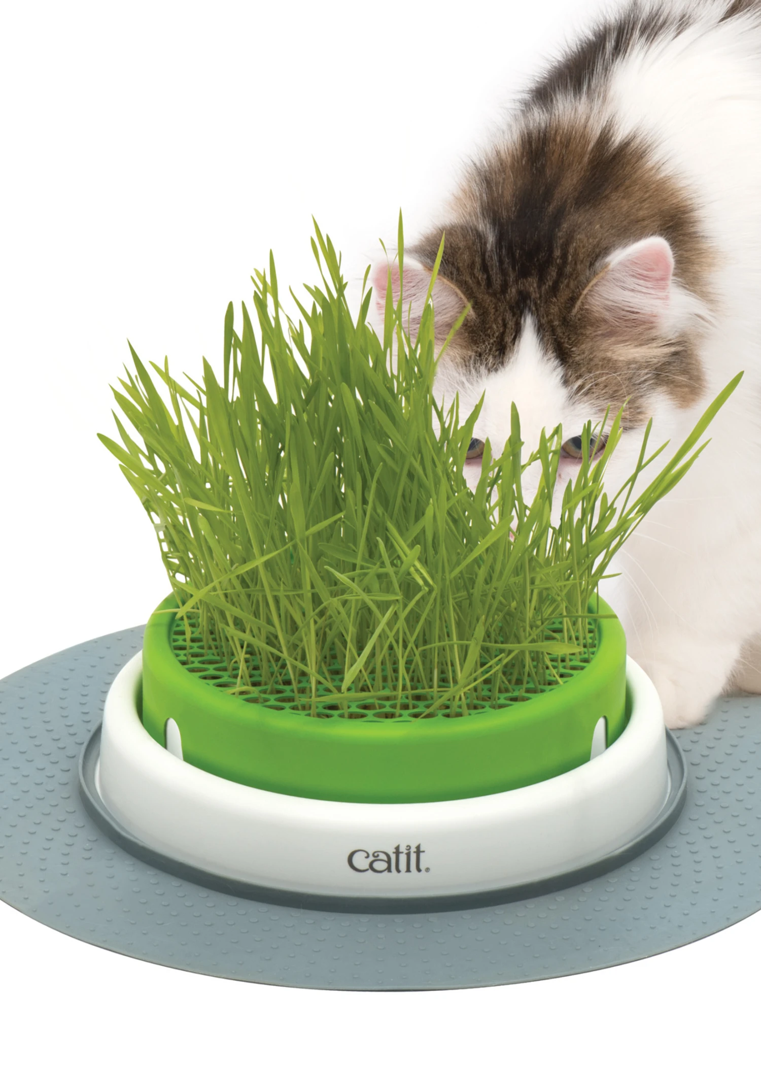 Catiti® Senses 2.0 Grass Planter 1 Catiti® Senses 2.0 Grass Planter