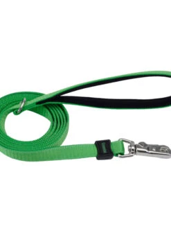 COASTAL INSPIRE 6' X 1" LEASH GREEN