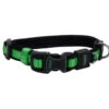 COASTAL INSPIRE (XS) COLLAR GREEN