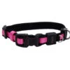 Coastal Inspire Xs Collar Pink