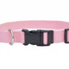 Coastal New Earth Soy Adjustable Collar Lrg Rose