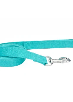 COASTAL NEW EARTH SOY LEASH 1"-6' GREEN
