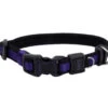 Coastal Inspire Adjustable Neoprene Collar Lrg Purple