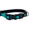 Coastal Inspire Adjustable Neoprene Collar Mdm Aqua