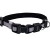 Coastal Inspire Adjustable Neoprene Collar Mdm Grey