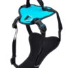 Coastal Inspire Harness Aqua Small 5/8" X 16-24"