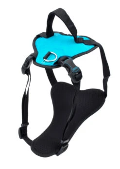 Coastal Inspire Harness Aqua Small 5/8" X 16-24"