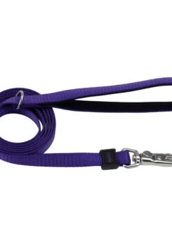 Coastal Inspire Neoprene Leash 1"x6' Purple