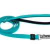 Coastal Inspire Neoprene Leash 5/8"x6' Aqua