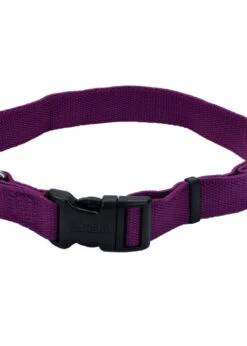 Coastal New Earth Soy Adjustable Collar Lrg Eggplant