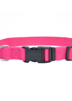 Coastal New Earth Soy Adjustable Collar Sm/Mdm Fuchsia