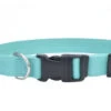 Coastal NEW EARTH SOY COLLAR 18-26" MINT