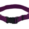 Coastal NEW EARTH SOY COLLAR 8-12" PURPLE