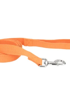 Coastal NEW EARTH SOY LEASH 5/8-6' ORANGE