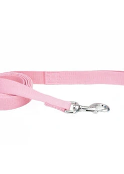 Coastal New Earth® Soy Leash 5/8" X 6'