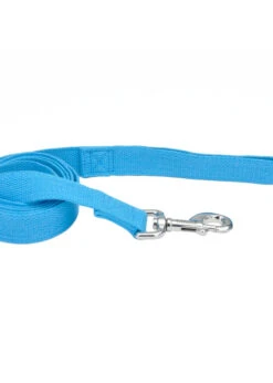 Coastal NEW EARTH SOY LEASH 5/8"x6' BLUE