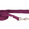 Coastal New Earth Soy Leash Eggplant 1"x6'
