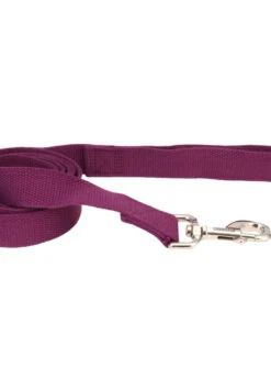 Coastal New Earth Soy Leash Eggplant 1"x6'