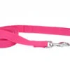 Coastal New Earth Soy Leash Fuchsia 5/8"x6'