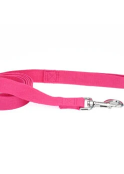 Coastal New Earth Soy Leash Fuchsia 5/8"x6'