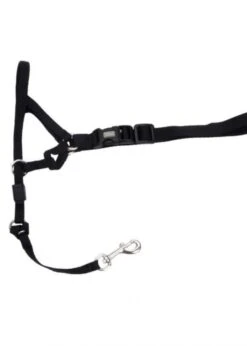 Coastal Walk 'n Train!® Head Halter Medium