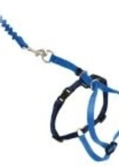Come With Me Kitty™ Harness & Bungee Leash Small