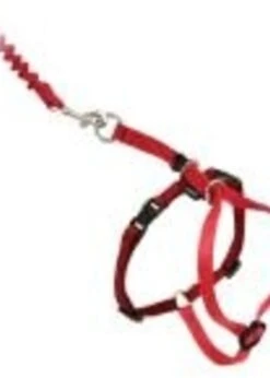Petsafe Come With Me Kitty Harness & Bungee Leash Medium