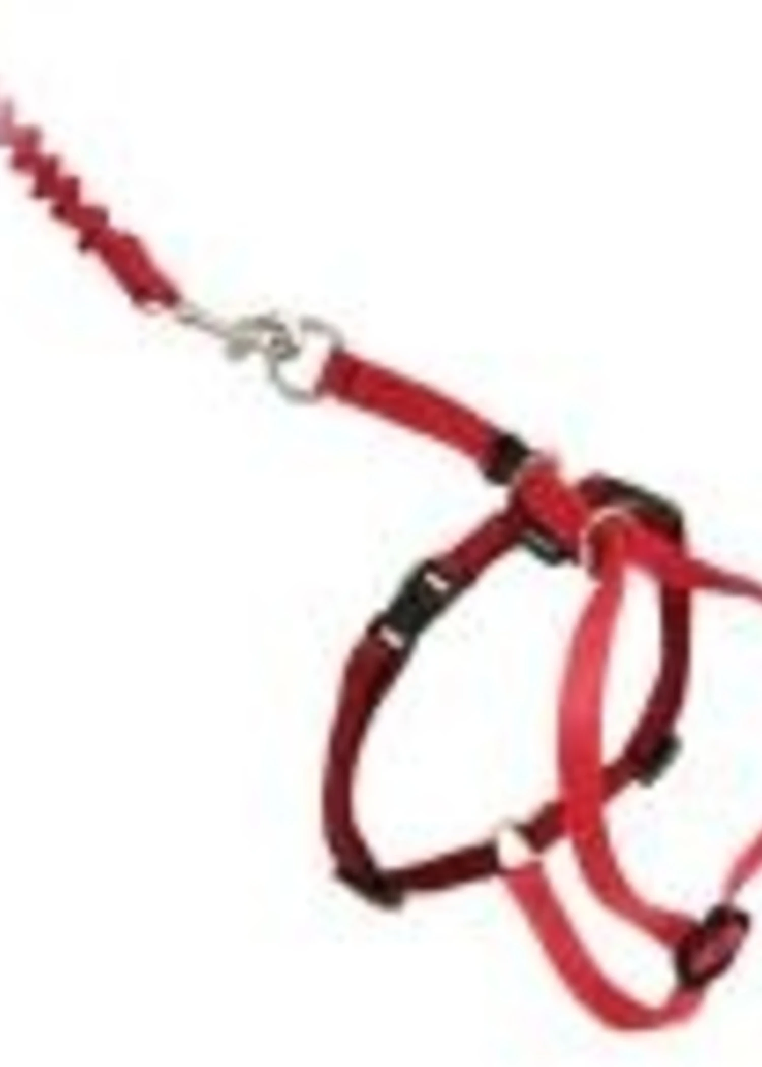 Petsafe Come With Me Kitty Harness & Bungee Leash Medium 1 Petsafe Come With Me Kitty Harness & Bungee Leash Medium