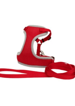 Comfort Soft® Adjustable Harness With 6' Leash