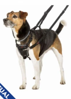 Company Of Animals Halti® No-Pull Harness Small