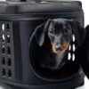 GF Pet Collapsible Pet Carrier