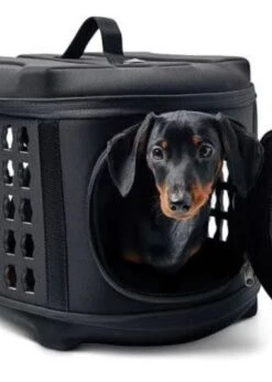 GF Pet Collapsible Pet Carrier