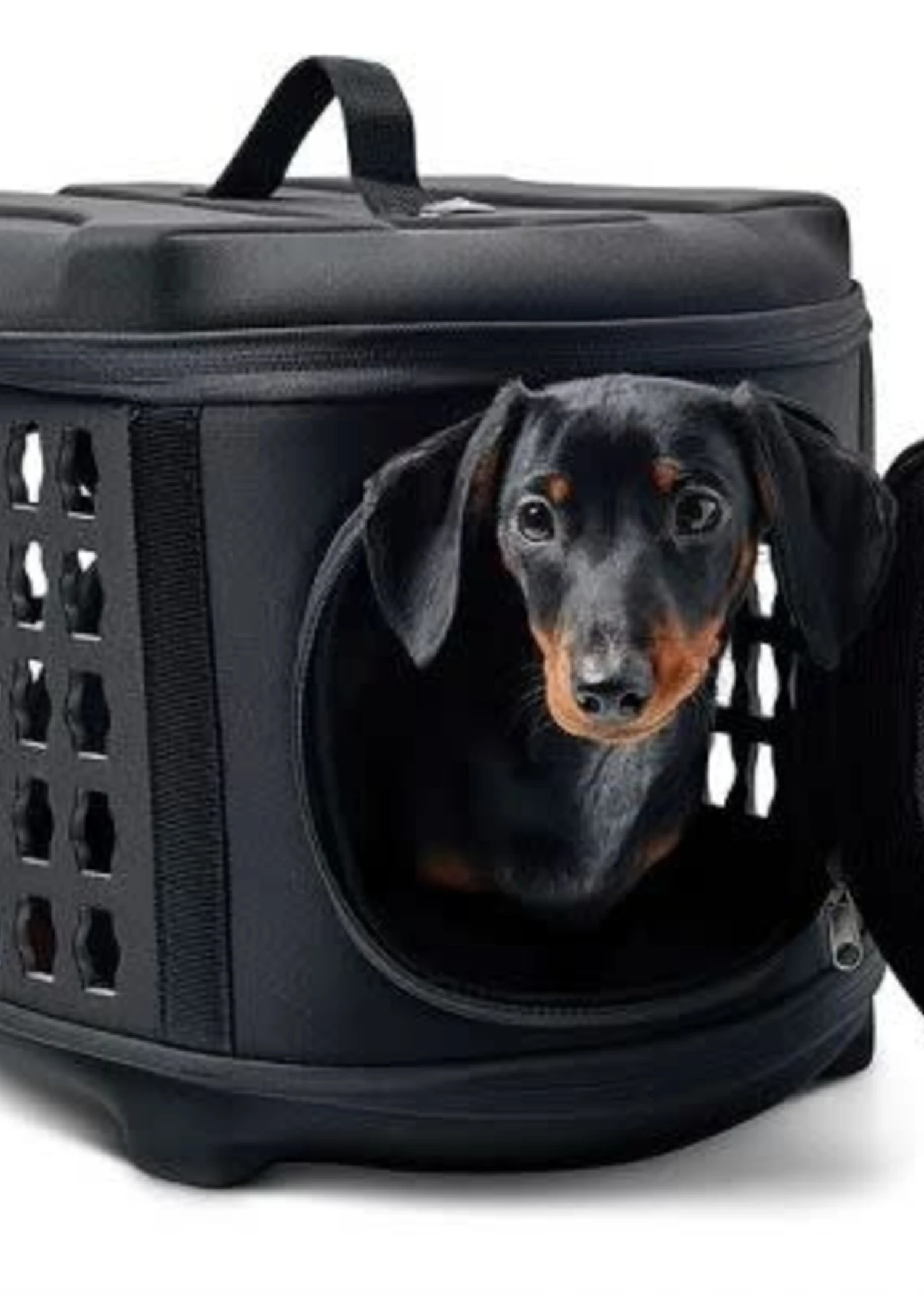 GF Pet Collapsible Pet Carrier 1 GF Pet Collapsible Pet Carrier