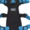 Coastal K9 Explorer Brights Reflective Front-Connect Harness Medium