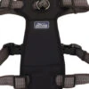 Coastal K9 Explorer Brights Reflective Front-Connect Harness Large
