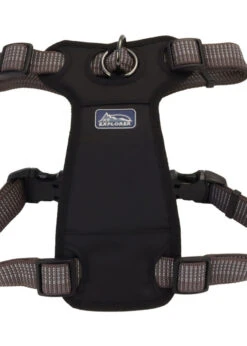 Coastal K9 Explorer Brights Reflective Front-Connect Harness Large