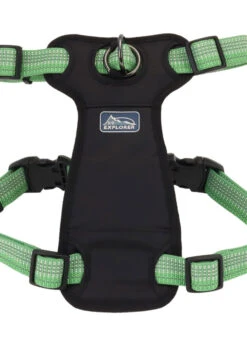 Coastal K9 Explorer Brights Reflective Front-Connect Harness Small