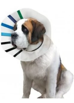 Kong EZ Clear™ Collar XX-Large