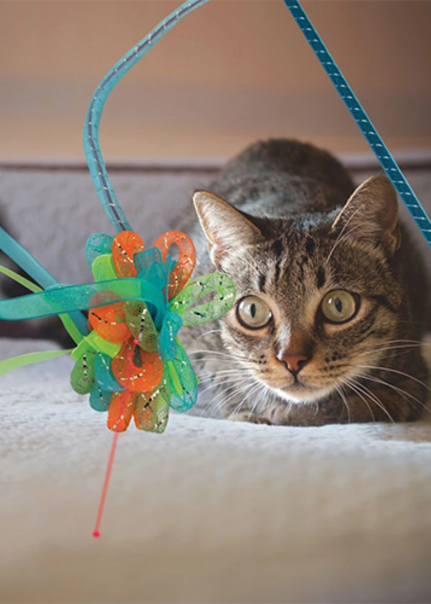 Kong® Laser Teaser Ribbons 3 Kong® Laser Teaser Ribbons - Image 3