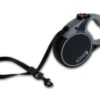 Kong® Terrain Retractable Leash Medium