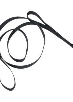 Loops 2® Double Handle Leash 4'